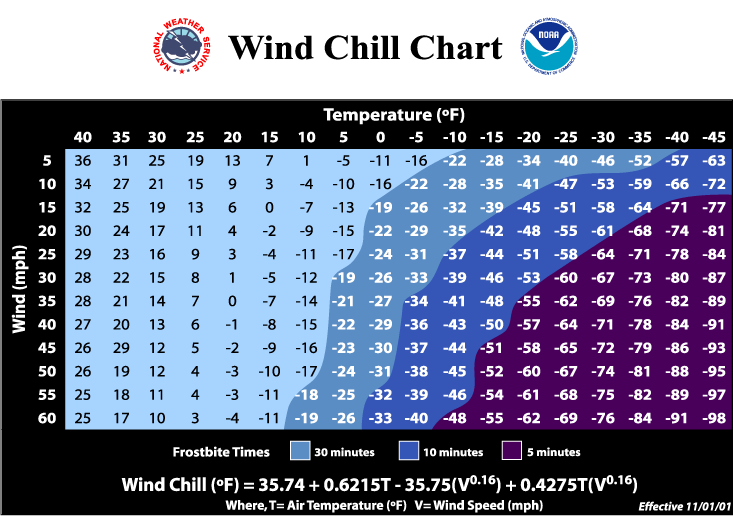 Windshield Chart